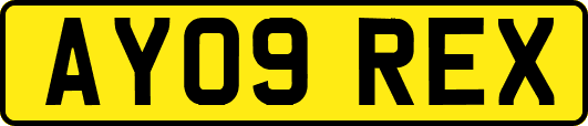 AY09REX