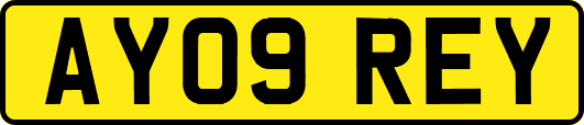 AY09REY