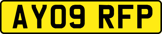 AY09RFP