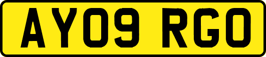 AY09RGO
