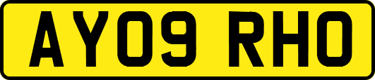 AY09RHO