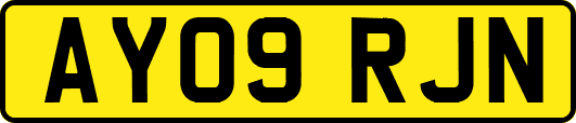 AY09RJN