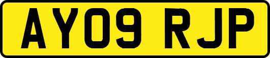AY09RJP