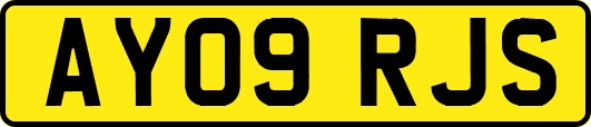 AY09RJS