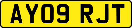AY09RJT