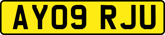 AY09RJU