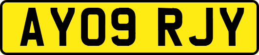 AY09RJY