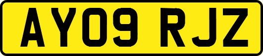 AY09RJZ