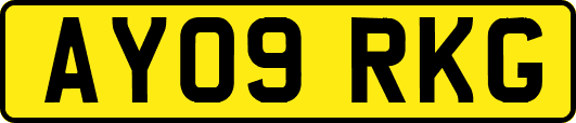AY09RKG