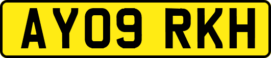 AY09RKH