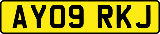 AY09RKJ