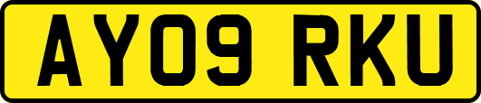 AY09RKU