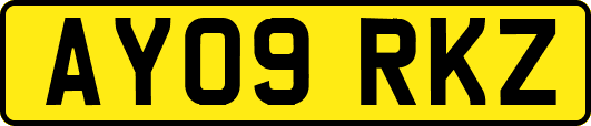 AY09RKZ