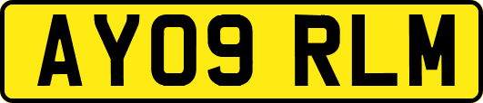 AY09RLM