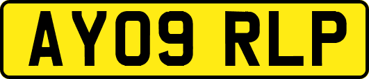 AY09RLP