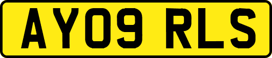 AY09RLS