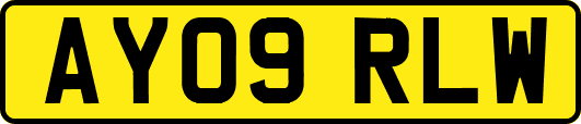 AY09RLW