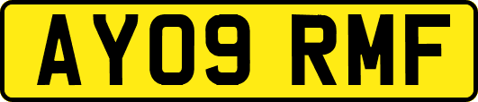AY09RMF