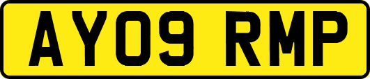 AY09RMP