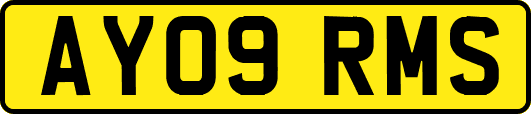 AY09RMS