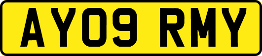 AY09RMY