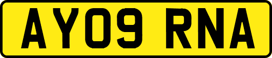 AY09RNA