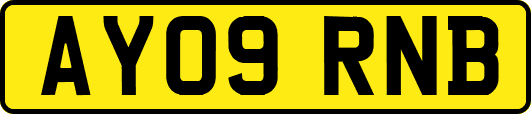 AY09RNB