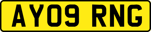 AY09RNG
