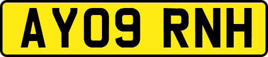AY09RNH