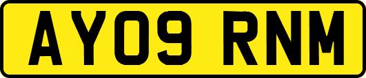 AY09RNM