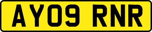 AY09RNR