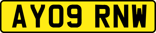 AY09RNW