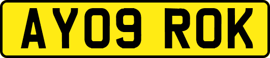 AY09ROK