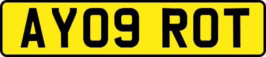 AY09ROT
