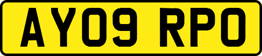 AY09RPO