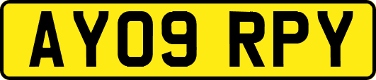 AY09RPY