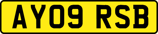 AY09RSB