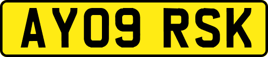 AY09RSK