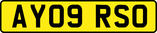 AY09RSO