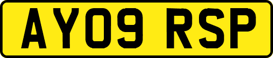 AY09RSP
