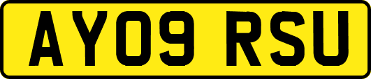 AY09RSU