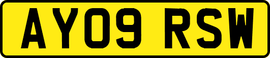 AY09RSW