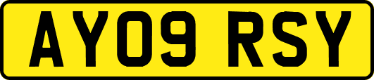 AY09RSY