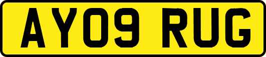 AY09RUG