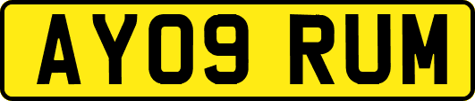 AY09RUM
