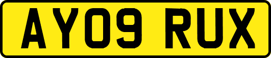 AY09RUX