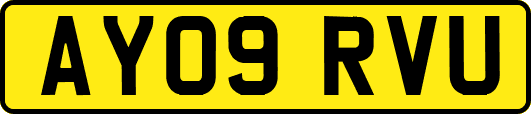 AY09RVU