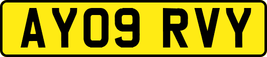 AY09RVY