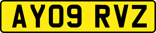 AY09RVZ