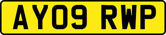 AY09RWP